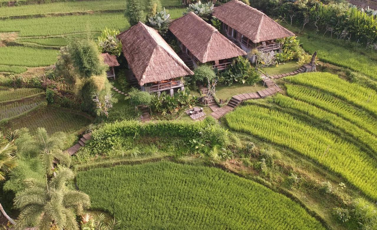 Sawah Indah Villa Sidemen  Zewnętrze zdjęcie