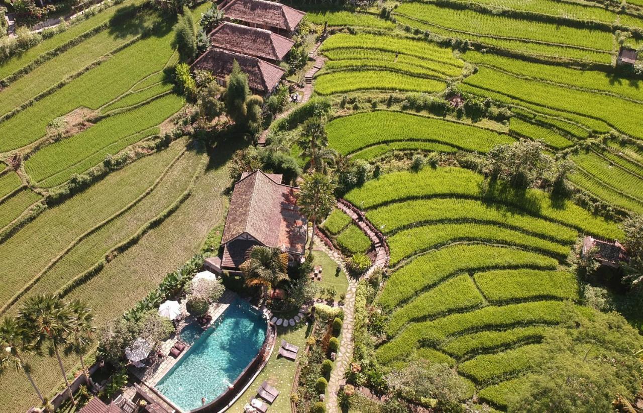 Sawah Indah Villa Sidemen  Zewnętrze zdjęcie